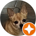 Matthew Miller profile picture